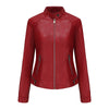 Lightweight Spring & Autumn Jacket