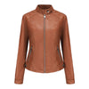 Lightweight Spring & Autumn Jacket